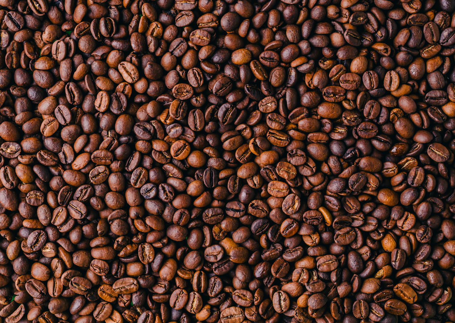 Coffee for Every Moment